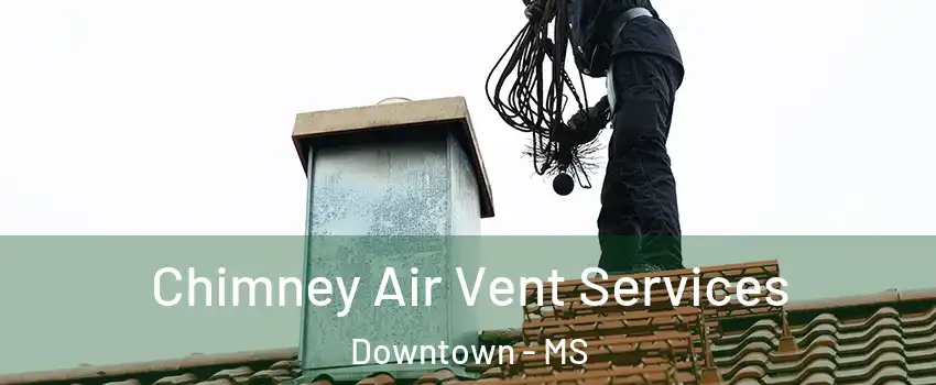 Chimney Air Vent Services Downtown - MS