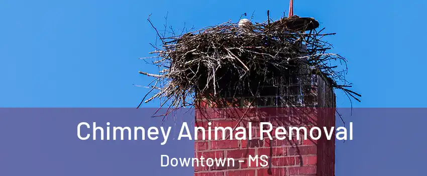 Chimney Animal Removal Downtown - MS