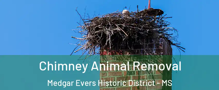 Chimney Animal Removal Medgar Evers Historic District - MS