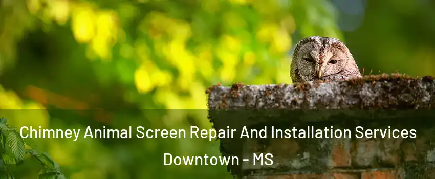 Chimney Animal Screen Repair And Installation Services Downtown - MS
