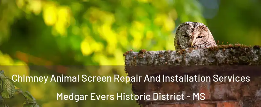 Chimney Animal Screen Repair And Installation Services Medgar Evers Historic District - MS