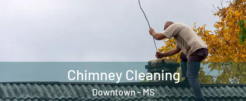 Chimney Cleaning Downtown - MS