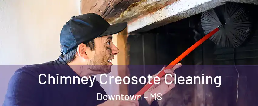 Chimney Creosote Cleaning Downtown - MS