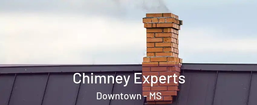 Chimney Experts Downtown - MS