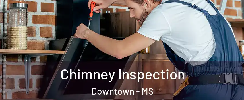 Chimney Inspection Downtown - MS