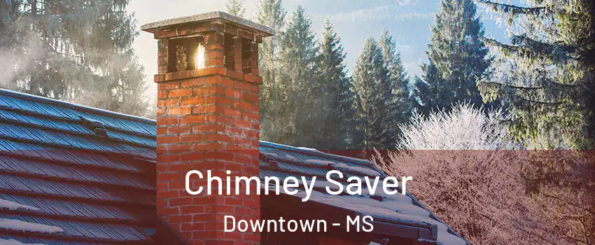 Chimney Saver Downtown - MS