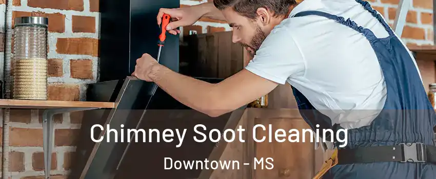 Chimney Soot Cleaning Downtown - MS