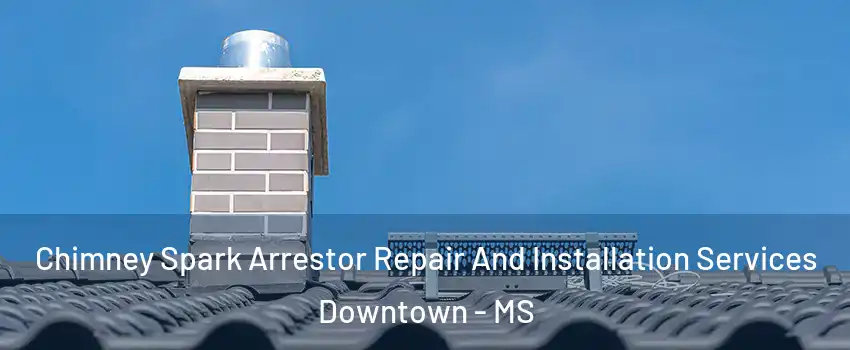 Chimney Spark Arrestor Repair And Installation Services Downtown - MS