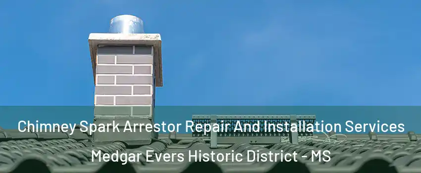 Chimney Spark Arrestor Repair And Installation Services Medgar Evers Historic District - MS