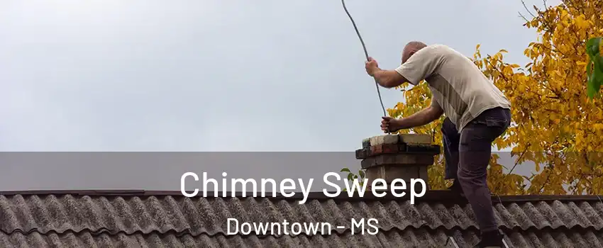 Chimney Sweep Downtown - MS