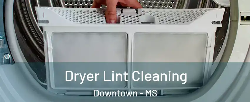 Dryer Lint Cleaning Downtown - MS
