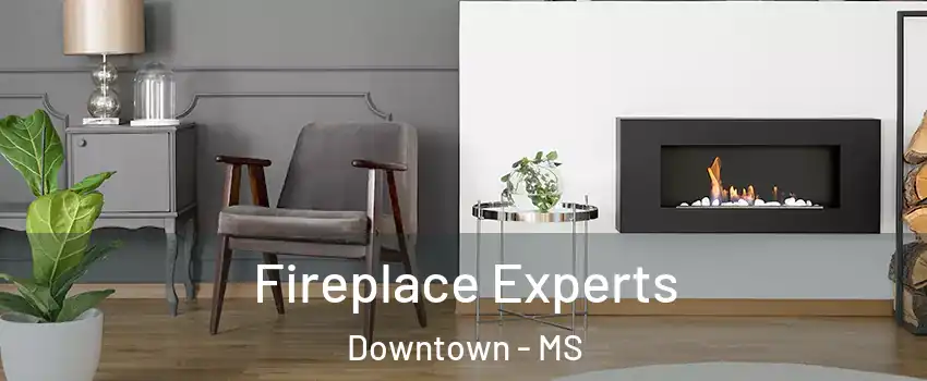 Fireplace Experts Downtown - MS