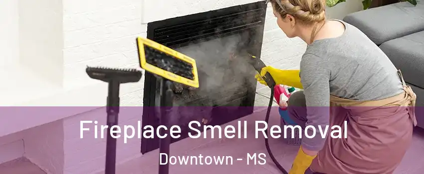 Fireplace Smell Removal Downtown - MS
