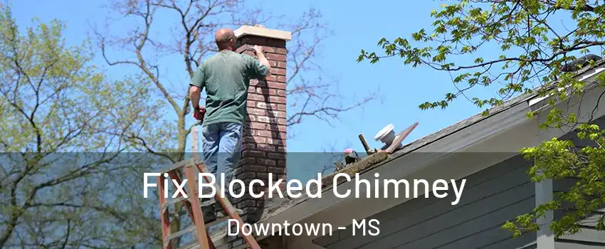 Fix Blocked Chimney Downtown - MS