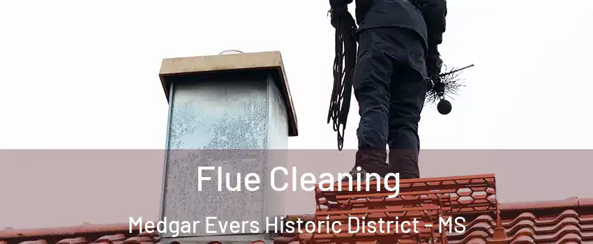 Flue Cleaning Medgar Evers Historic District - MS
