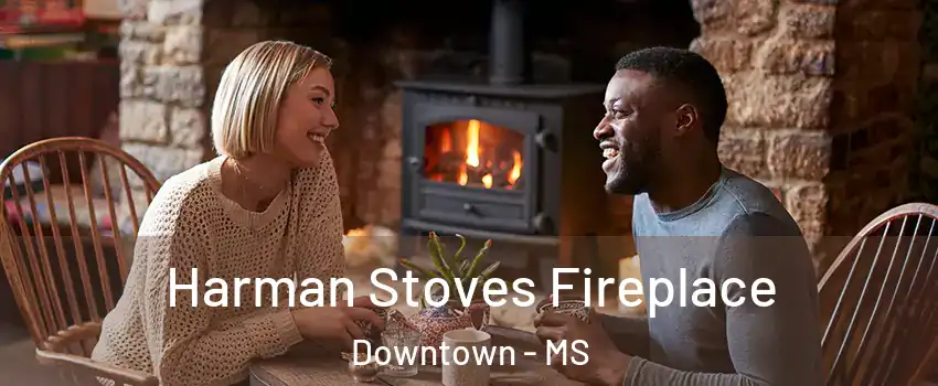Harman Stoves Fireplace Downtown - MS