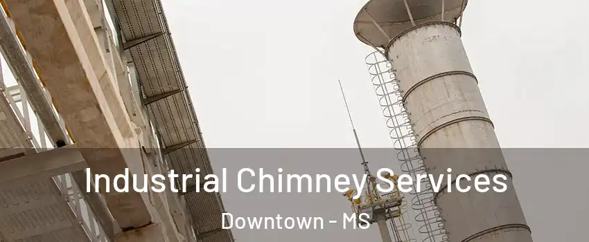 Industrial Chimney Services Downtown - MS