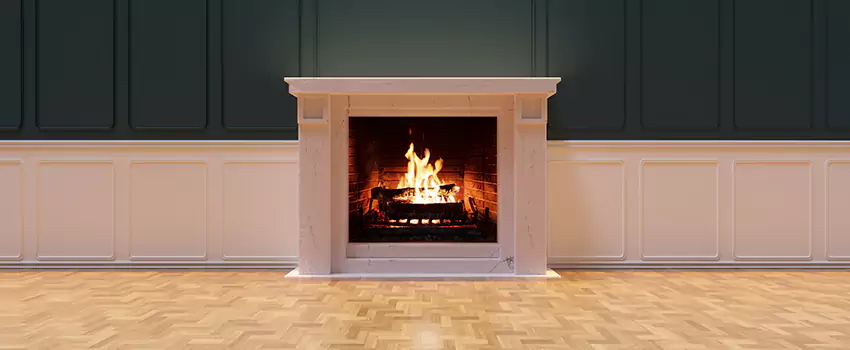 Napoleon Electric Fireplaces Inspection Service in Downtown, Mississippi