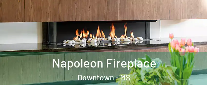 Napoleon Fireplace Downtown - MS