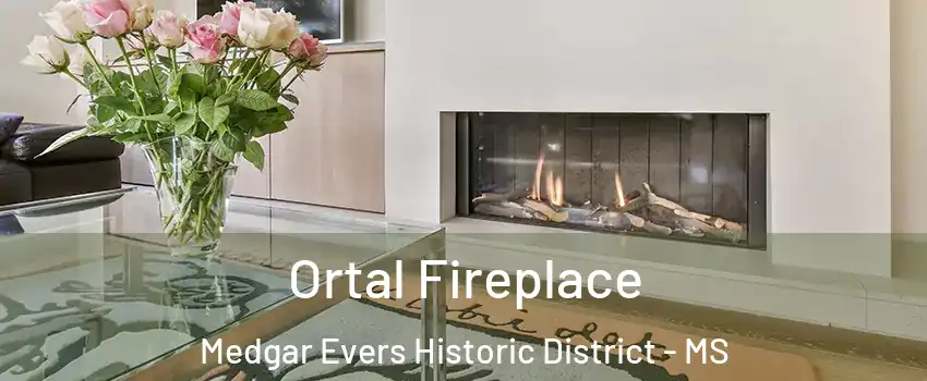 Ortal Fireplace Medgar Evers Historic District - MS