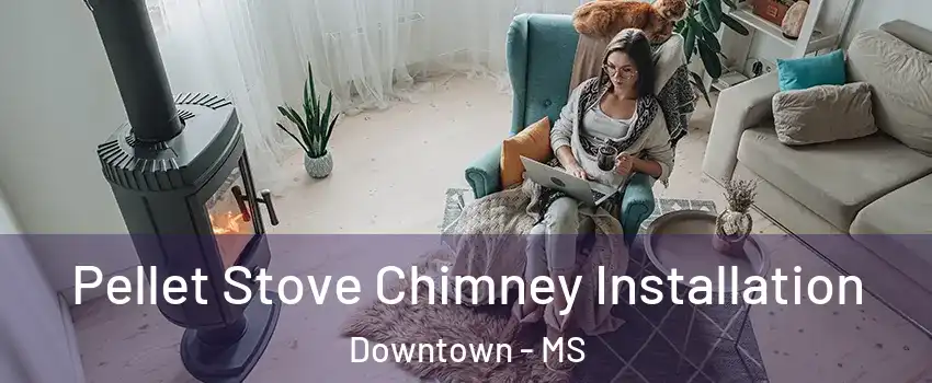 Pellet Stove Chimney Installation Downtown - MS